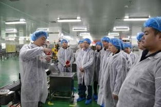 上海化妝品代加工 產業(yè)鏈核心與研發(fā)創(chuàng)新的融合